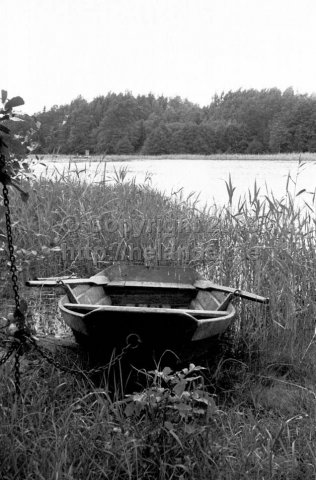 Roddbåt i vassen. (1966)